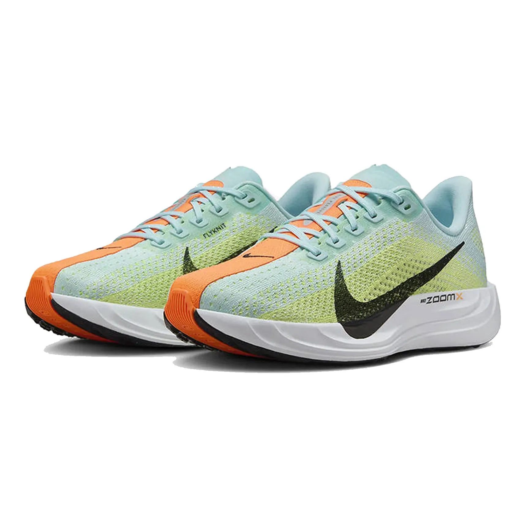 Mens Nike Pegasus Plus